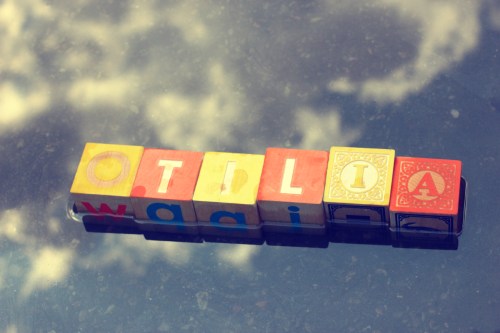 IMG_6659_blog1_otilia