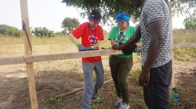 Sandra rebar BLOG.jpg