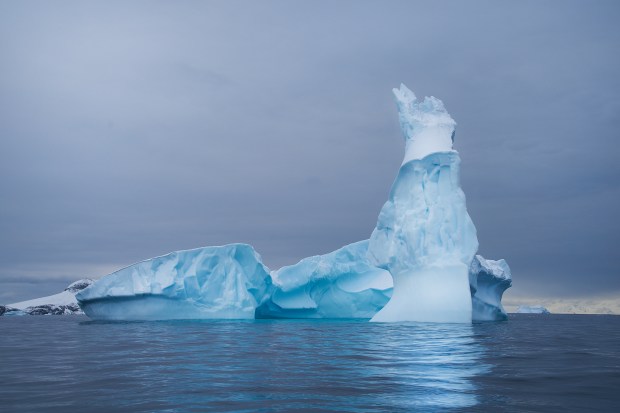 Iceberg_41